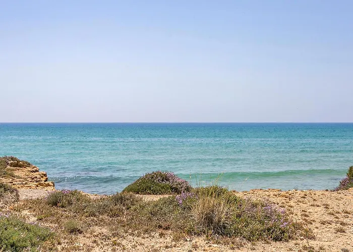 Pet Friendly In Casa de Férias Nocera Terinese